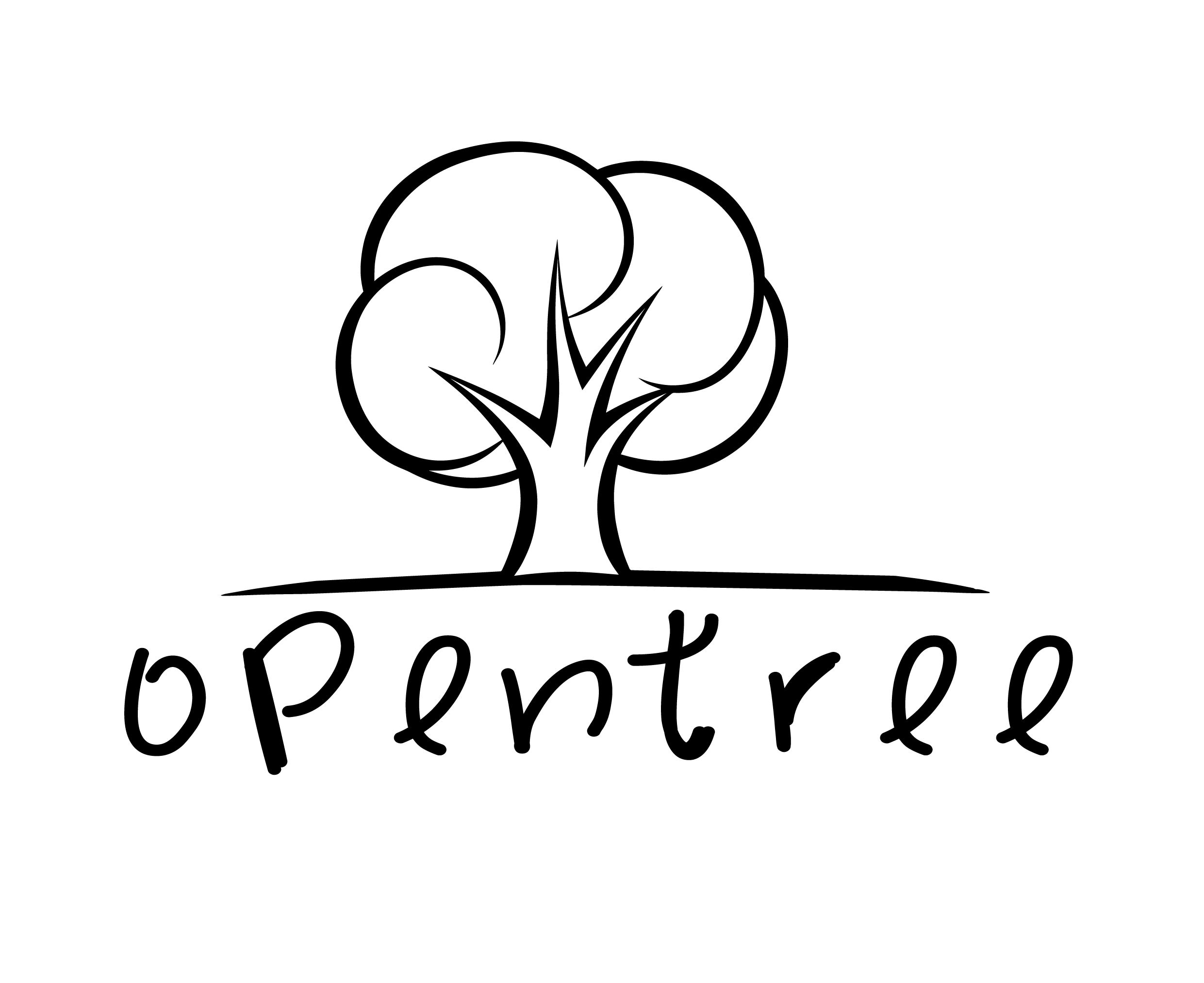 宽树